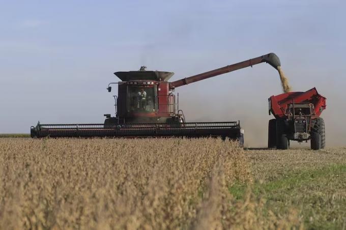 Dato histórico el campo tiene soja sin vender por más de US$3100 millones