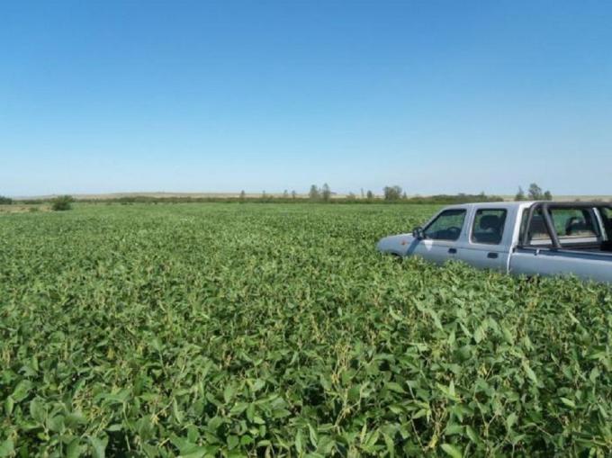 Avanza la implantación de soja temprana en el centro norte de Santa Fe