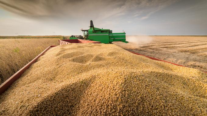 Commodities hidrocarburos y alimentos impulsan un alza del 4,2% en noviembre