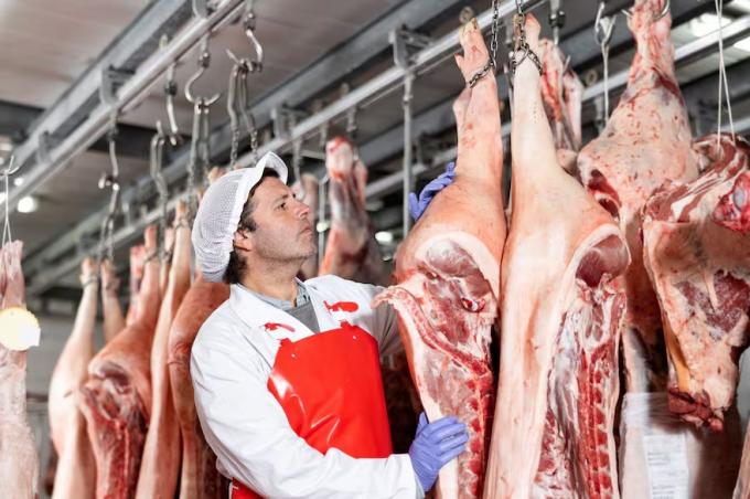 Exportaciones subieron más de un 70% las ventas al exterior de carne porcina y el consumo interno marcó un hito