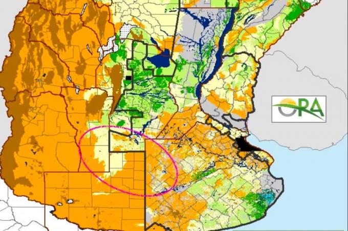 Periodo crítico. Ola de calor y pocas lluvias, el difícil panorama que le espera al campo en los próximos días