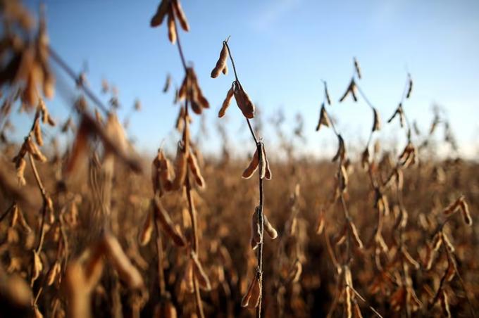 Baja de retenciones: una decisión que le da oxígeno a la campaña agrícola