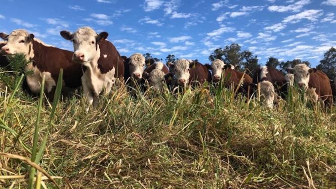 Diseñan un protocolo de agricultura regenerativa, único en Latinoamérica