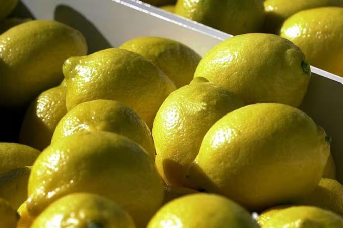 Inédito el Gobierno creó un sistema de monitoreo de las exportaciones de jugo de limón a Estados Unidos