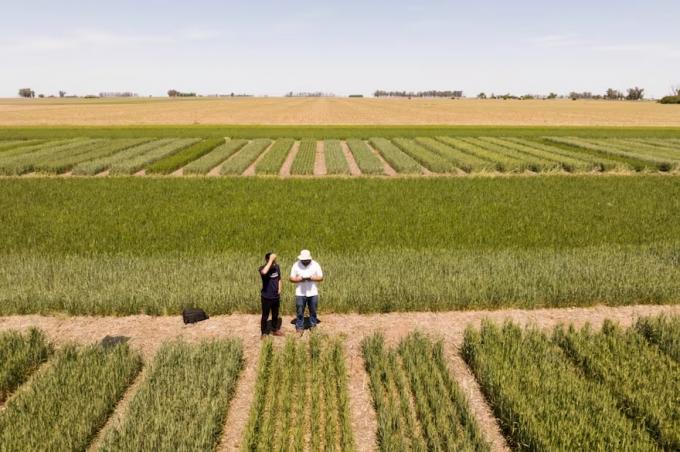 Medida. El Gobierno hizo un fuerte cambio en el registro de variedades vegetales