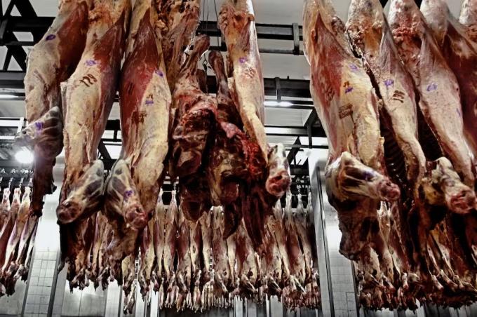 Ya van cuatro meses seguidos de caída de exportaciones de carne vacuna