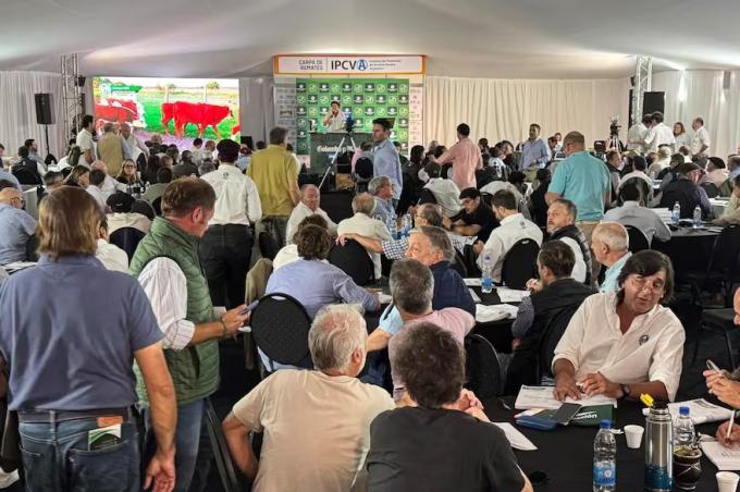 Cyber Monday de vacas en Expoagro son un boom los remates de ganado y ya se facturaron US$23 millones