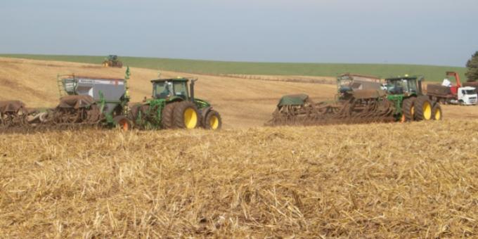 Brasil sueña este año con una gran cosecha de trigo pero tendrá que seguir comprando grandes volúmenes a sus vecinos del Mercosur