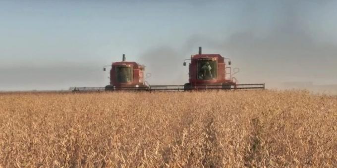 Gran noticia. Se vienen varios días con tiempo ideal para avanzar con la cosecha gruesa