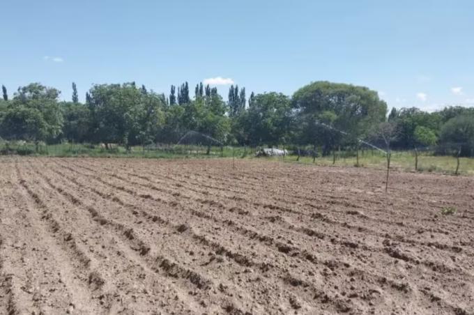 Para papa y tomate la decisiva intervención del INTA que cambió todo en una zona árida de Catamarca