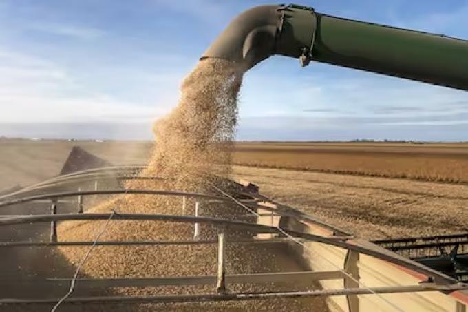 Contra todo pronóstico pese al golpe de La Niña, la soja da una sorpresa en plena cosecha