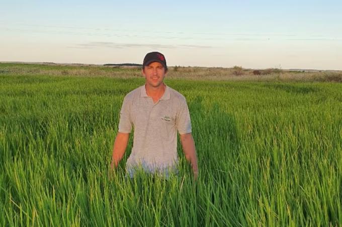 Crisis del arroz en Entre Ríos el 17% de los productores abandonaría la actividad y caería 15% la siembra
