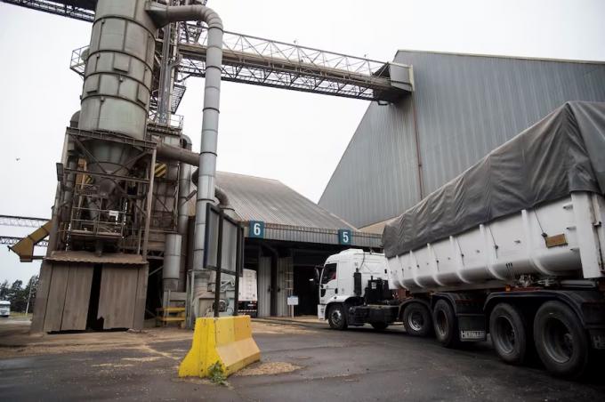 Según un experto qué hubo detrás de los US$2524 millones que llegaron con la agroexportación en abril