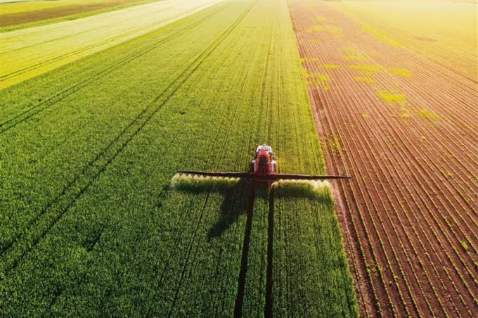 Desgaste silencioso gran parte de la Argentina está con niveles críticos de nutrientes esenciales en el suelo