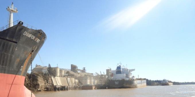 Los exportadores argentinos de poroto de soja están muy activos gracias a la aspiradora china