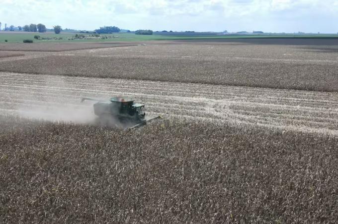 Dólar en el primer mes de la flotación cambiaria el agro exportó por US$3861 millones