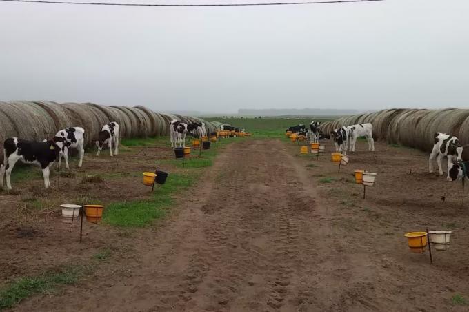 Nos dio aire pasaron un mal momento como empresa y con mucha eficiencia en una actividad lograron sostenerse