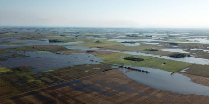 Argentina perdió parte de su cosecha de soja por el temporal, pero por el momento nadie se anima a ponerle número al desastre