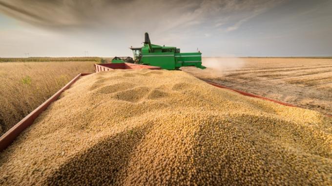 Santa Fe:  Intenso ritmo de cosecha de soja temprana y tardía
