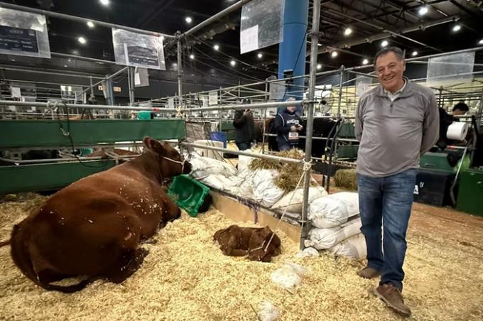 Cambio de rumbo dejó una fábrica y puso una cabaña ganadera donde todos los animales tienen nombres de pueblos