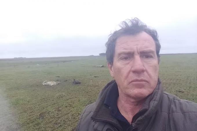Se te ríen en la cara la desesperación de un productor que en cinco meses sufrió el robo de ganado por más de $20 millones
