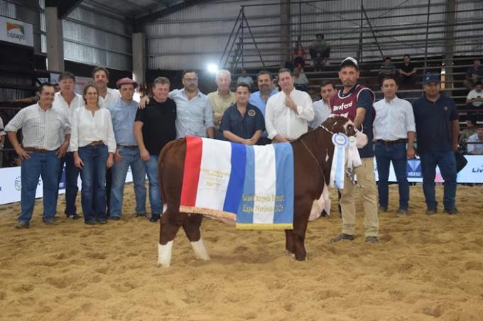 Las Nacionales La Dominga y Santa Irene se consagraron en el campeonato de terneros de Braford
