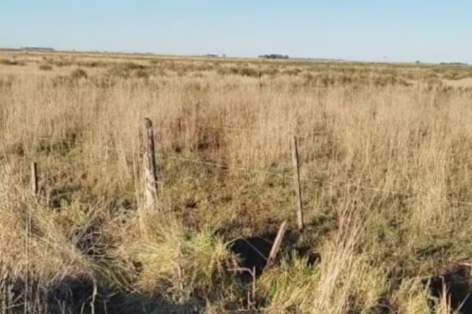 Eso no es hambre los ladrones de vacas volvieron a golpear y en una región hay hartazgo por la falta de soluciones