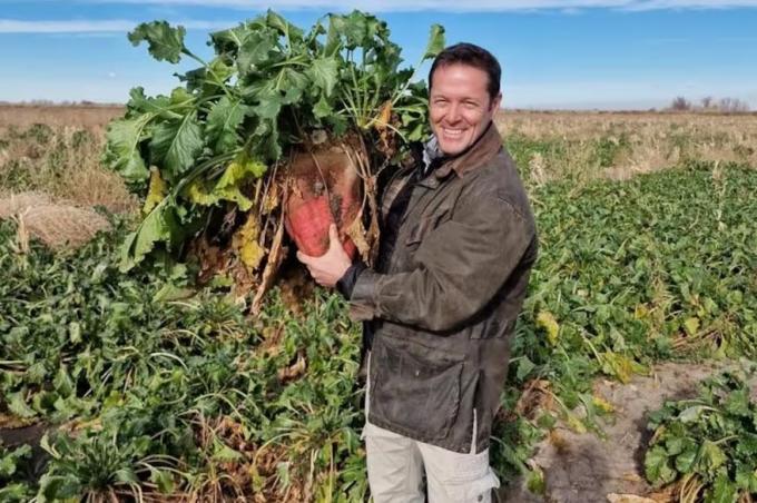 Remolacha forrajera el cultivo que transformó un campo y permite producir carne a solo US$0,50 el kilo