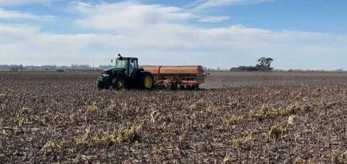 La siembra de trigo tomó impulso en el sur del área agrícola gracias al clima seco
