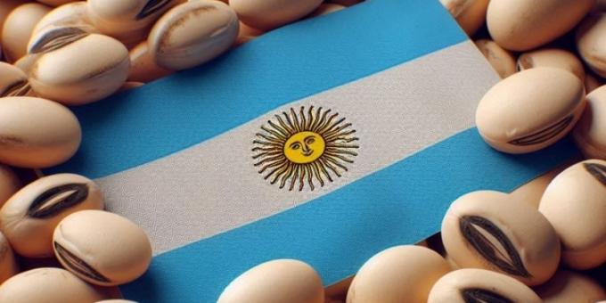 El primer día del aumento libertario de retenciones arrancó con una sorpresa en el mercado disponible de soja