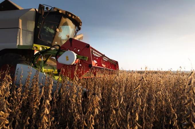 Inviable advierten que, por la suba de las retenciones, la soja no será rentable en el 80% del área agrícola