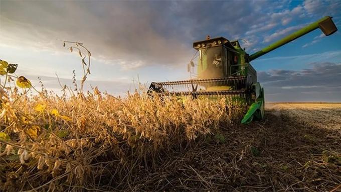 La cosecha de soja 2024/2025 creció 3,5% respecto a la campaña anterior