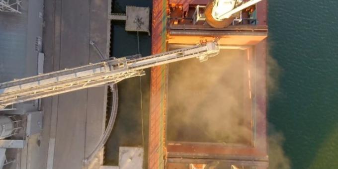 El precio de la harina de soja principal producto argentino de exportación registra el nivel más bajo de los últimos quince años