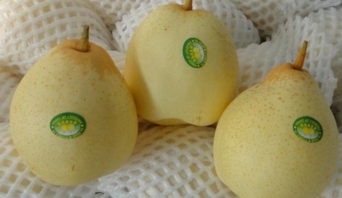 Debutan las peras chinas en el Mercado Central
