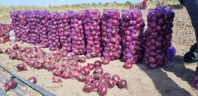 Al borde del abismo denuncian un desplome de ventas de frutas y verduras y apuntan contra las importaciones