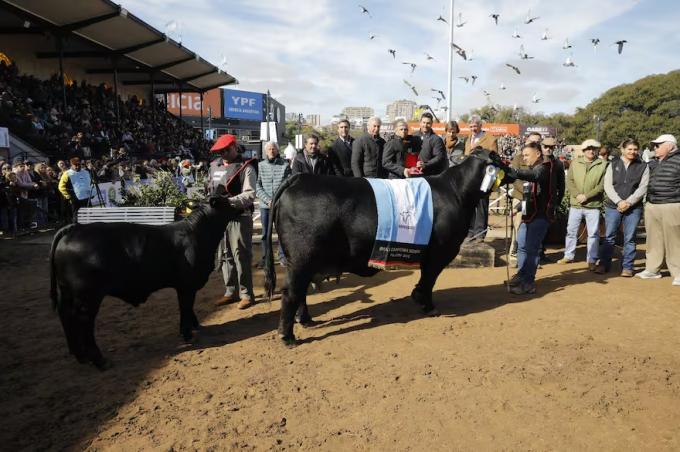 Digna ganadora una vaca de Corral de Guardia se consagró Gran Campeón Hembra Brangus