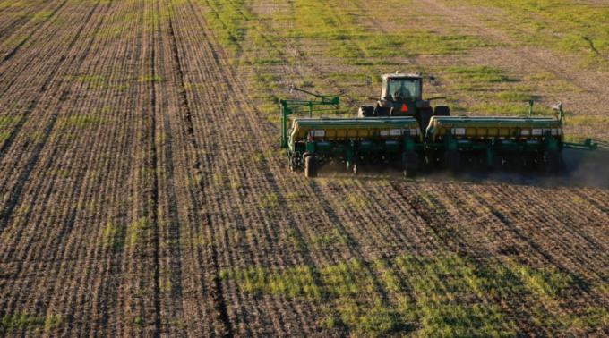 La Bolsa de Cereales mantiene su estimación de superficie de trigo pero ‘con ajustes zonales