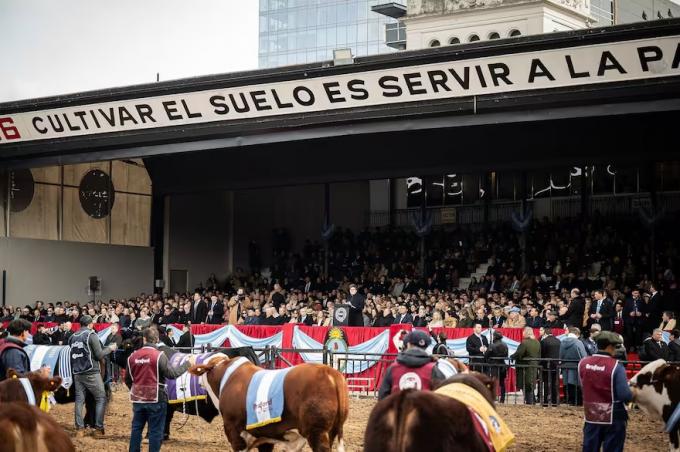 Rebaja de retenciones una decisión que puede poner al campo en la vía del crecimiento
