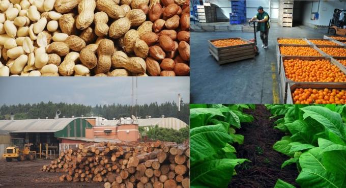 En el semáforo de las economías regionales, solo hay verde esperanza para la ganadería. El resto de las actividades, en alerta o crisis