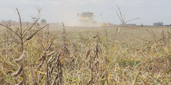 Por la baja de retenciones, la Bolsa de Buenos Aires estima que a corto plazo comenzaría a crecer la producción de granos en Argentina