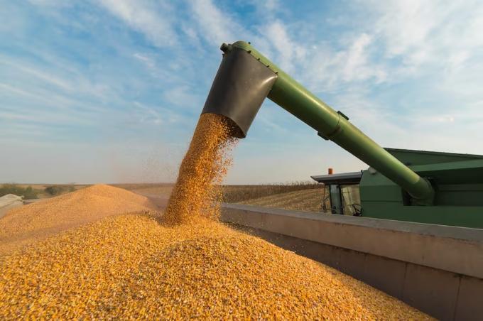 Maquinaria agrícola qué dicen los empresarios sobre la importación de equipos usados