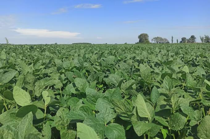 El agro proyecta una inversión de US$24.600 millones para la campaña 2025/26, según un informe