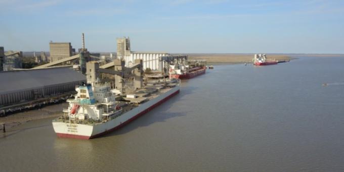 Los exportadores no registraron una sola tonelada de trigo 2025/26 y las razones de ese hecho inédito deberían preocupar a los productores