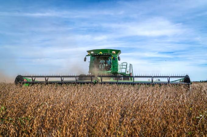 Informe el 65% del financiamiento de la campaña agrícola 2024/2025 se tomó en dólares, según una plataforma