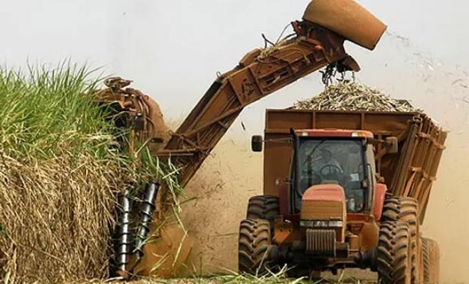 Números en rojo advierten sobre una situación muy crítica entre pequeños productores de caña de azúcar