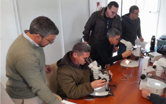 Santa Fe: Senasa e INTA actualizaron la clasificación de garrapata bovina con un taller en Rafaela