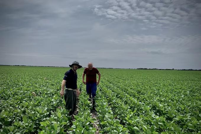 Momento bisagra las cuatro claves que definen el éxito en las empresas agropecuarias