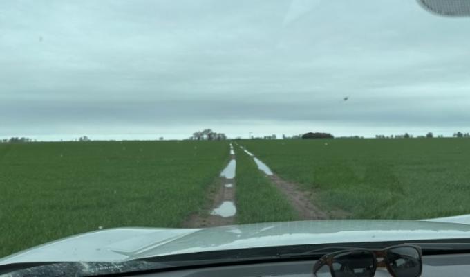 Luego de varios días primaverales, el sábado regresan las lluvias con algunas tormentas intensas