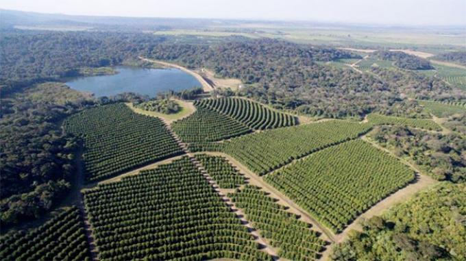 Créditos de carbono un negocio de 2.300 mill/dol/año para la Argentina