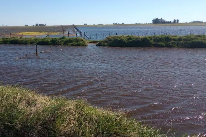 Se sumaron miles de hectáreas a la inundación en el centro oeste bonaerense y temen algo “mucho más trágico”